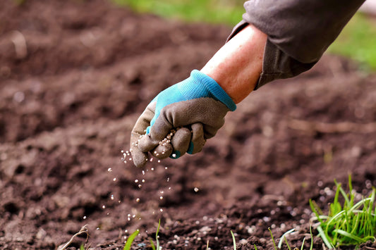 How to Choose the Right Fertilizer for Your Lawn, Garden, and Plants