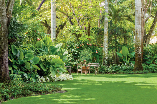 Best Fertilizer for Florida Plants, Lawns &amp; Gardens: A Complete Florida Gardening Guide